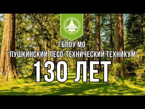 Пушкинский лесо-технический техникум фото 4