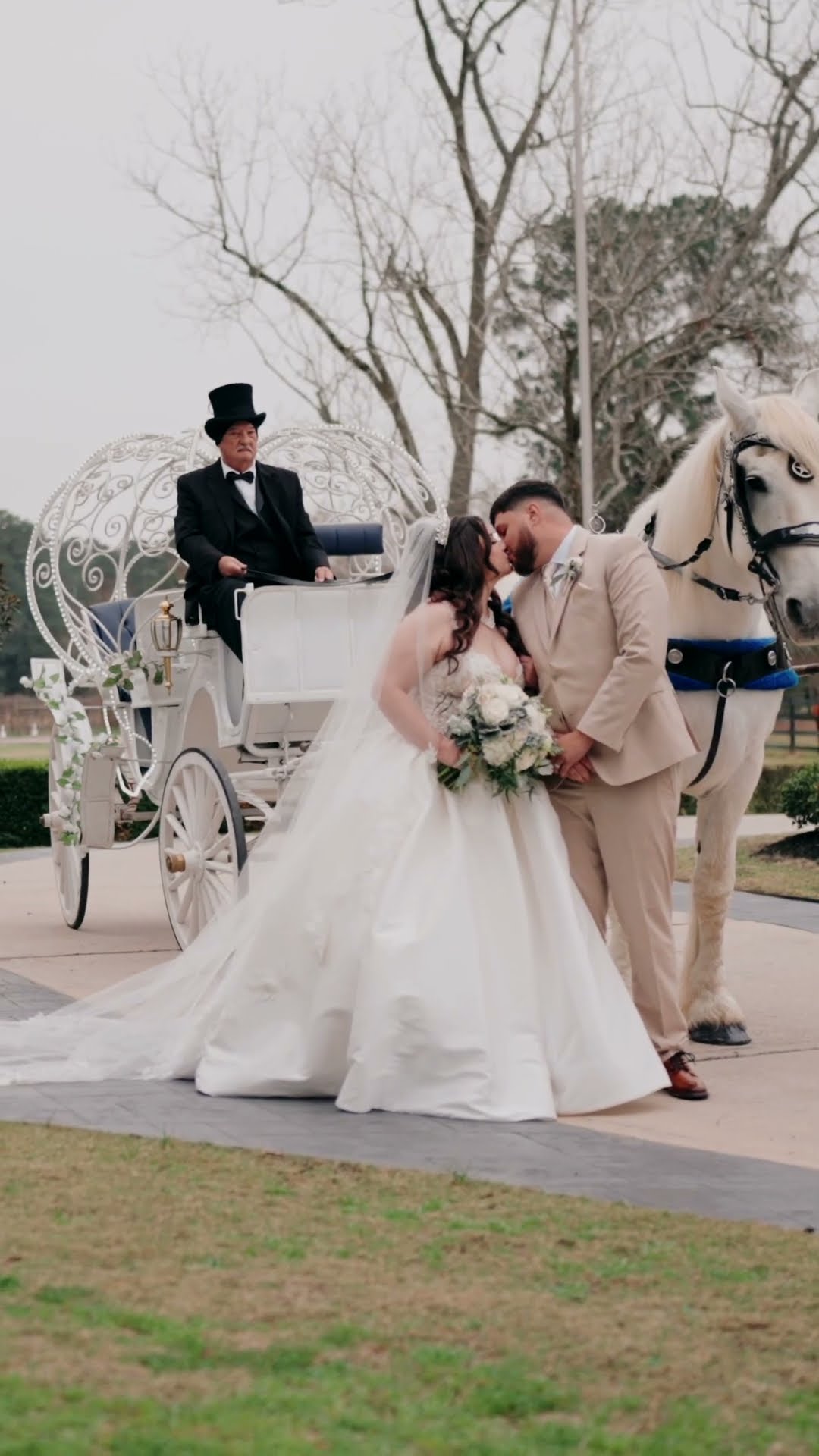 Vertical thumbnail: couple kissing beside a white horse and carriage