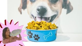 Crocchette per Cani Fatte in Casa