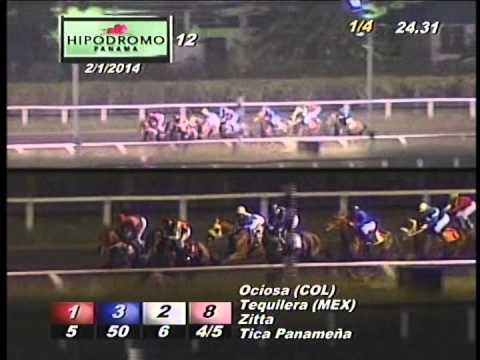 12VA CARRERA SABADO 1 DE FEBRERO DEL 2014 HPR