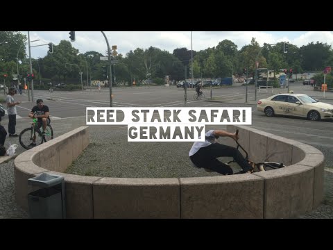 GERMANY - reed stark safari