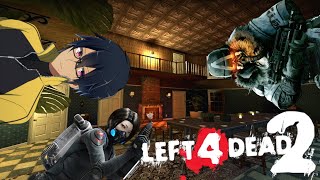 Así que... le instalé MÁS MODS a Left 4 Dead 2...