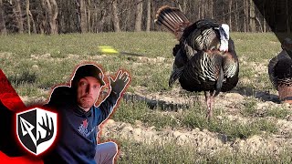 Opening Day Turkey Down! 8 Yard Shot