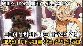 [원피스 1129화 풀버전 리뷰 및 분석] 드디어 밝혀진 엘바프 태양신의 정체그리고 태양의 신 니카를 잇는 쵸파의 열매 숲의 신
