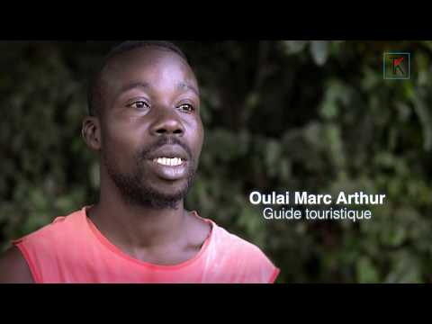 the history of the sacred monkeys of the sacred forest of Gbepleu and the city of Man (Ivory Coast)