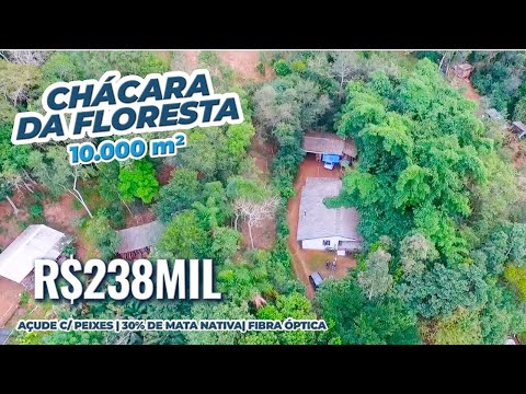 Vídeo