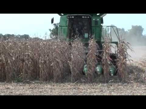 Geringhoff Rota Disc at Virgina Field Day