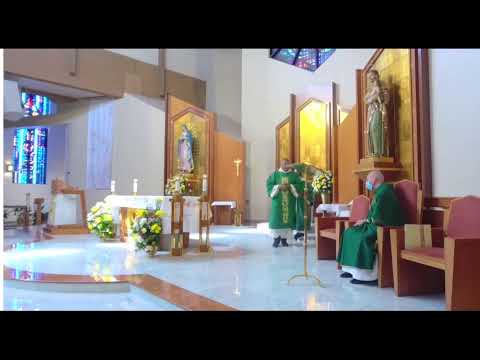 Live Holy Mass with Fr. Denis Wilde, OSA of Priests for Life at Holy Cross Catholic Church in Orl...