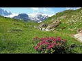 The Color of Spring - Bernward Koch. /Tavaszi színek, virágok, hangulat 2024/