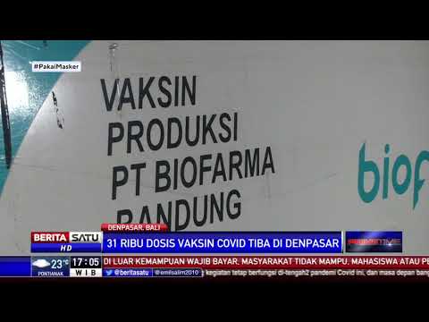 Vaksin Sinovac Sudah Sampai Sejumlah Daerah, Tinggal Tunggu Waktu Penyuntikan