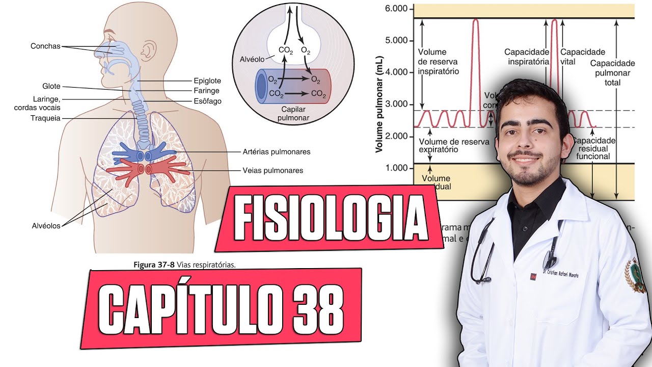 Fisiologia - Ventilação Pulmonar (Capítulo 38) │ Guyton