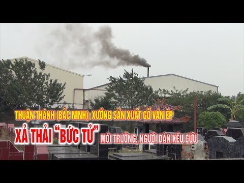 Thuận Thành (Bắc Ninh): Xưởng sản xuất gỗ ván ép xả thải “bức tử” môi trường, người dân kêu cứu