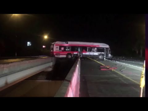 JTA bus driver rescued after crash