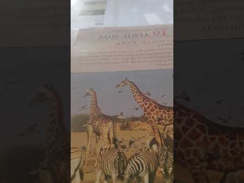 primary ypww bible study lesson 2 1 chronicles 16:28-36 amplified