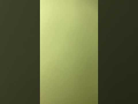 Exposing the Witch Part 2: True Story