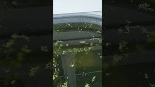 Creeping Jenny Creeps!