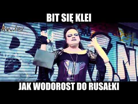 BIT SIĘ KLEI JAK WODOROST DO RUSAŁKI 🔥🎵
