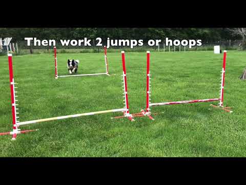 Consistent & Independent Obstacle Discrimination Course with Lisa Schmit - Online Course