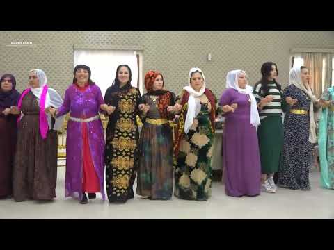 SÜPER KÜRTÇE ŞEVKO HALAYI LEYLA YILMAZ  DAVATE 2024 Part 01