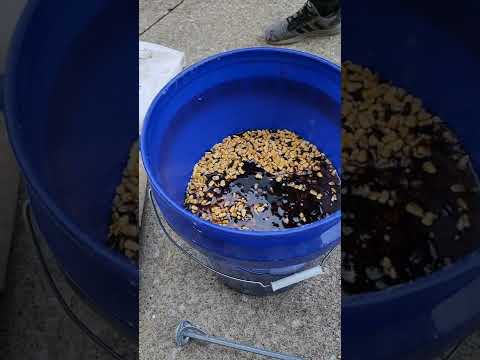 The Secret is OUT!!! The Best Deer Corn Recipe!!!