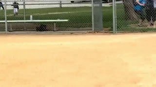 Ryder Miller 5u baseball