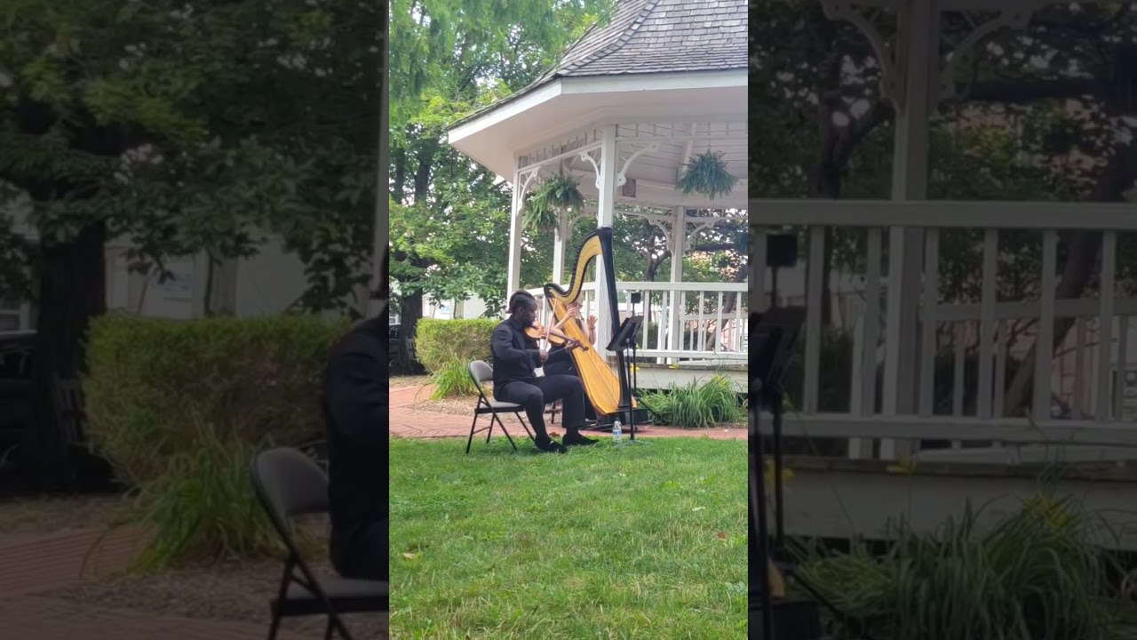 Promotional video thumbnail 1 for TDB Violin