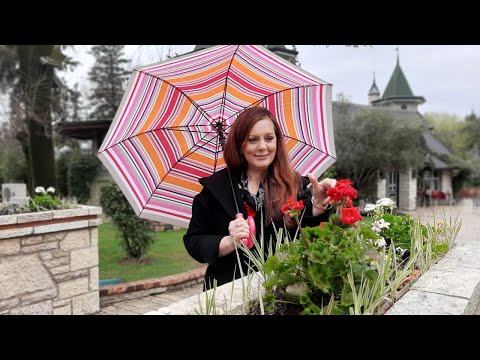 Vitrina e Librit/ Brad Stone- Kompania e famshme Amazon nuk i lejon punonjësit të urinojnë?