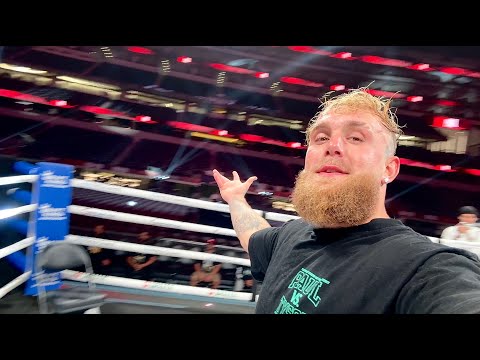 Conor McGregor Favored To Be Jake Paul’s Next Opponent According To BetOnline