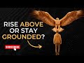 The Eagle Mindset Soar High Or Stay Low