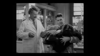 Darwin's Doubt (feat. Ronald Reagan, Charlton Heston and those dirty apes!)