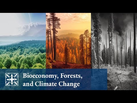 2023 Climate Change Conversations | Bioeconomy, Forests, and Climate Change with Dr. Yuan Yao