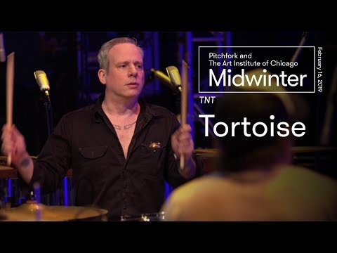 Tortoise | TNT Full Set | Midwinter 2019