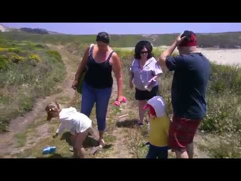 Walking away from the beach through brush
