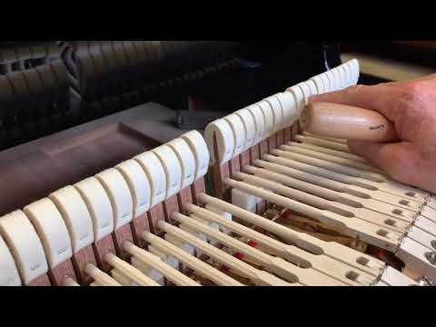 Fully restored Bechstein model IV 220cm grand 1894 cf. Steinway 180cm & Bluthner 192cm: