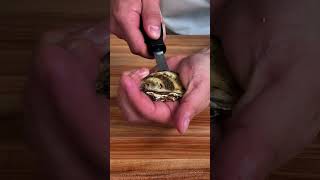 Download lagu How To Shuck Oysters mp3
