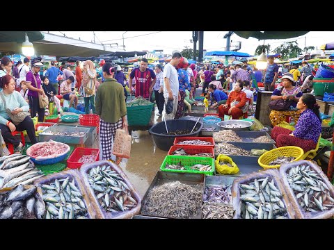 How Fish, Seafood, Vegetables, & More Are Distributed @ Chhbar Ampov Market