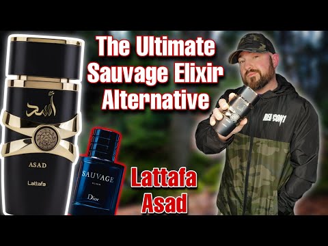 The BEST Cheap Dior Sauvage Elixir Clone PERIOD | Lattafa Asad Fragrance Review