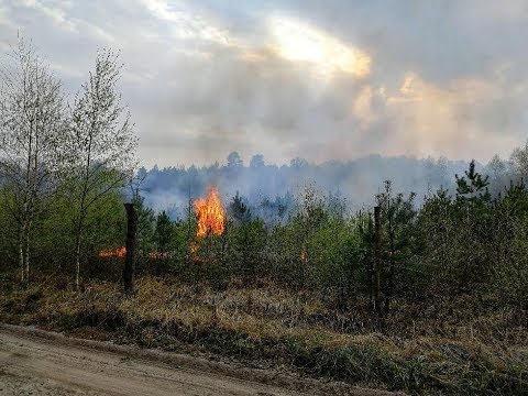 Zbliżenia TVP3 Bydgoszcz 23.04.2019