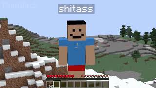 HEY SHITASS minecraft compilation