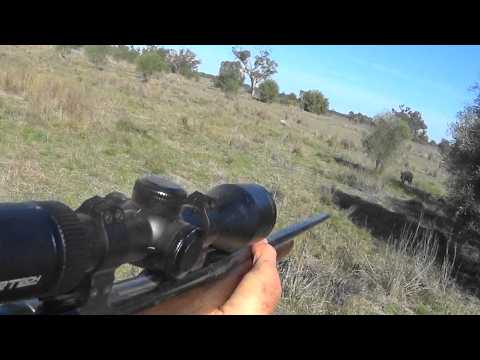Best of the last hunt with the boys.