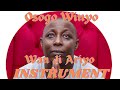 Wan Ji Ariyo Osogo Winyo Instrumental