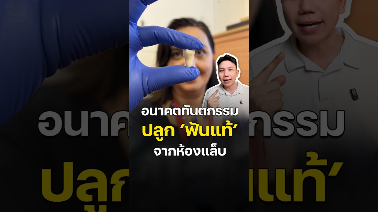 ปลูก "ฟันแท้" จากเซลล์ตัวเอง แทนฟันปลอม