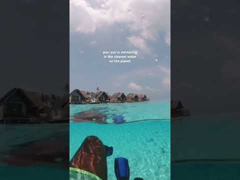 #maldives #travel #maledives #beachresort #beach #malidives #ocean #tropicalbeach #vacation