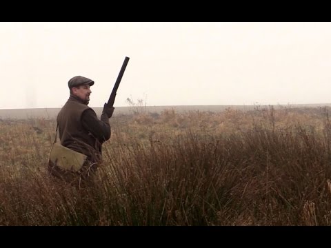 The Shooting Show – rough shooting in the fog at Burton Agnes