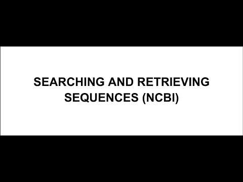 YouTube video