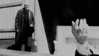 Video trailer för Three Reasons: Wild Strawberries