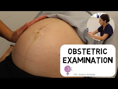 Obstetric Examination