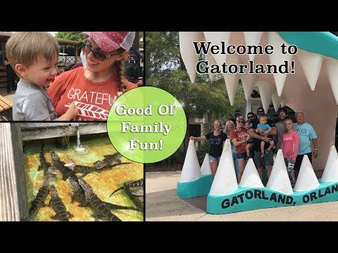 GATORLAND | FAMILY FUN DAY | THINGS TO DO IN FLORIDA