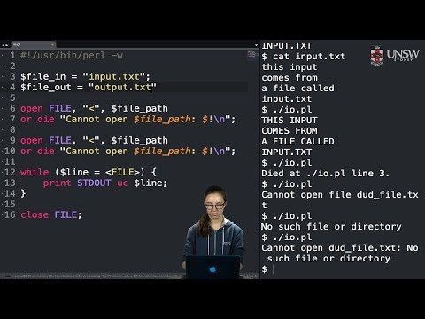 COMP2041/COMP9041 - Input and Output in Perl