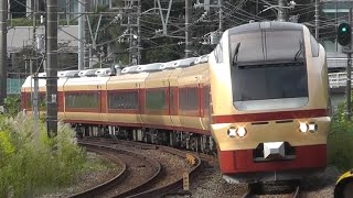 E653系 海浜公園コキア大船号 東戸塚通過